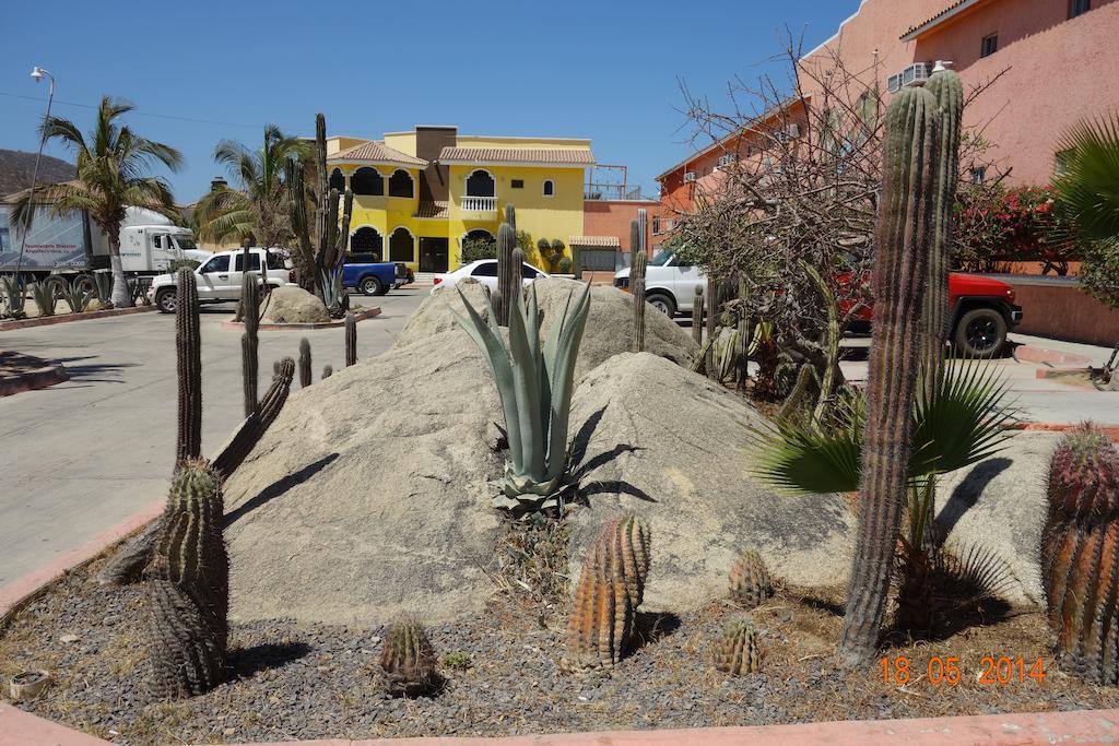 Oasis Los Cabos Hotel กาโบซานลูกัส ภายนอก รูปภาพ